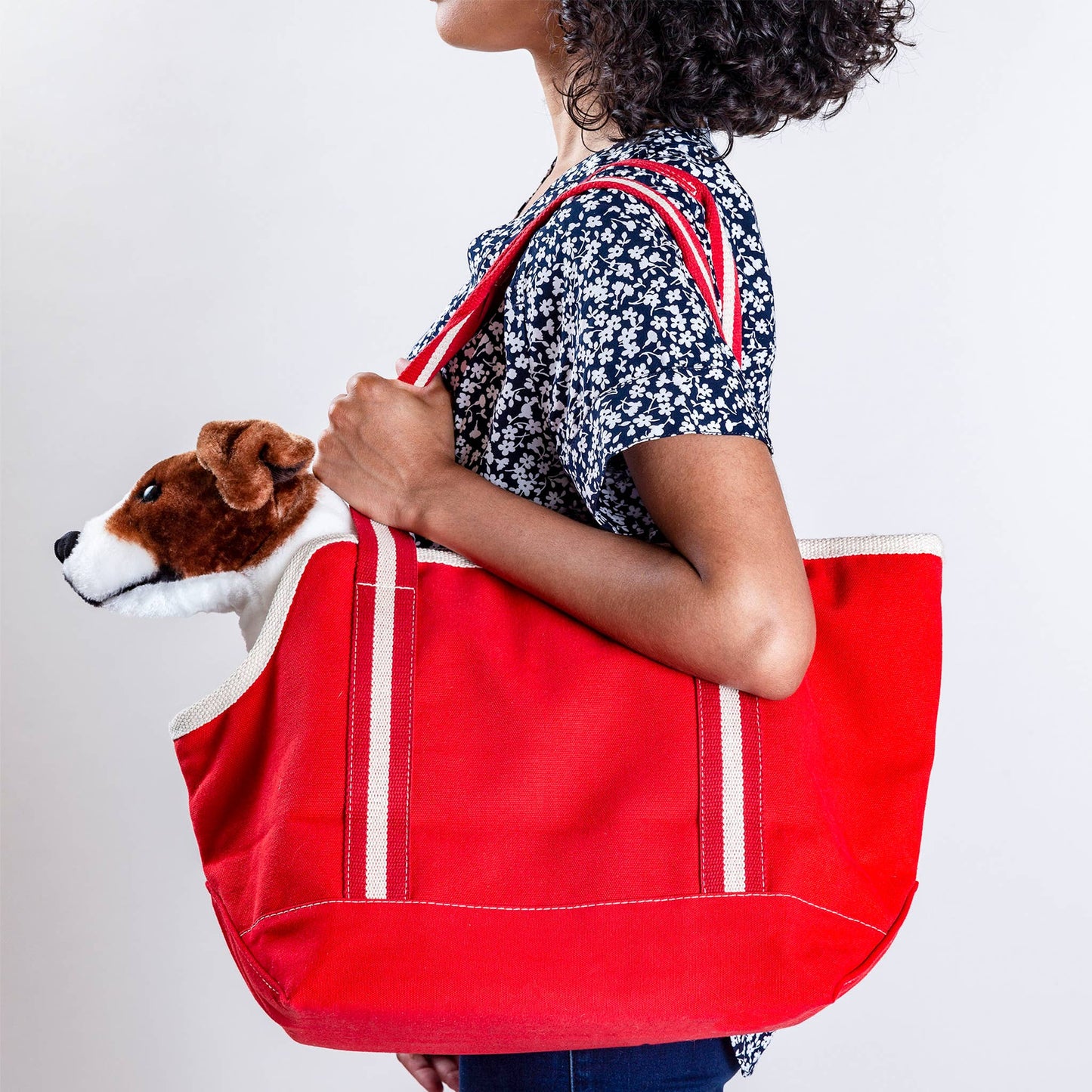 Pet Carrier