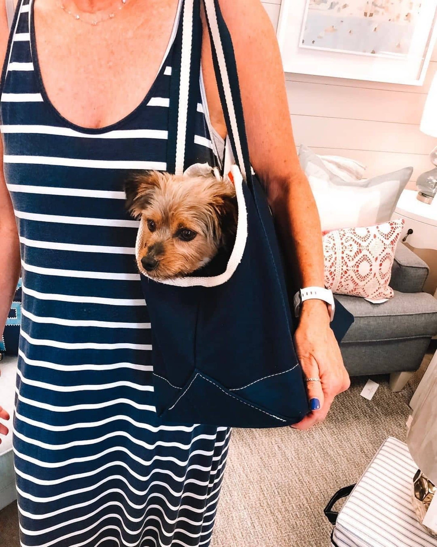 Pet Carrier