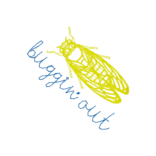 Short Sleeve Cicada BUGGIN' OUT Tee
