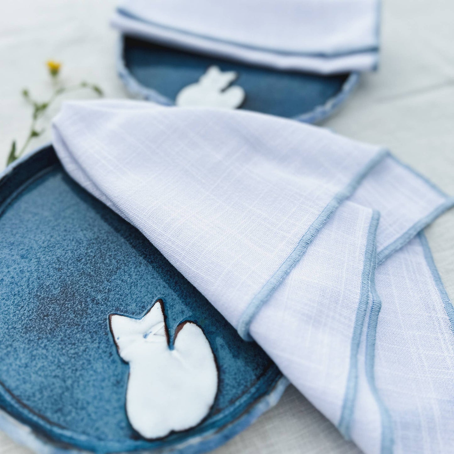 Cotton Napkin Set w/Contrast Edges